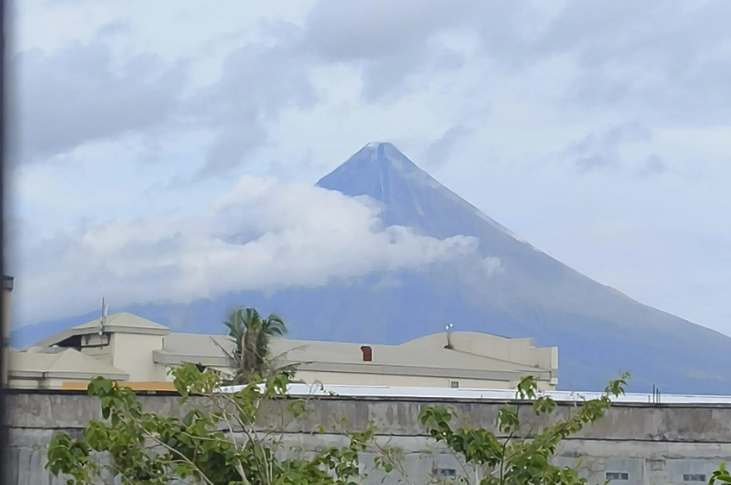 Mayon